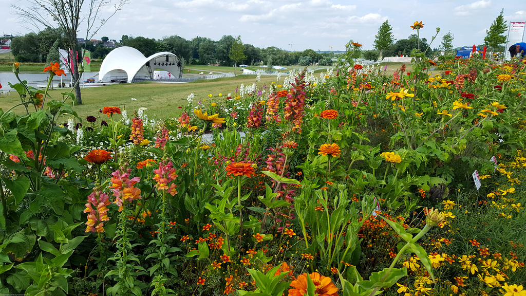 Landesgartenschau 2016