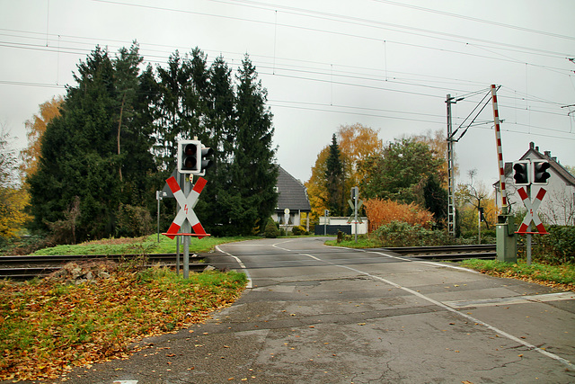 Am Schwarzbach, Bahnübergang (Waltrop) / 17.11.2019