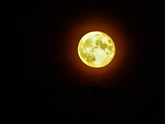 The Harvest Moon on the Equinox.