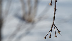 2022-02-13 10'47'00 E-M5 0619