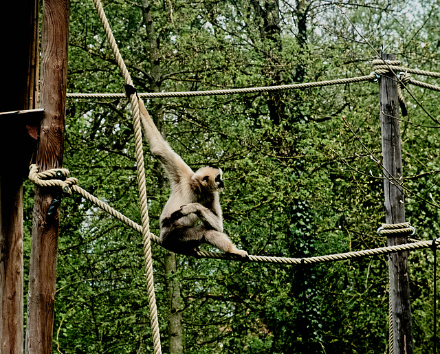 Tierpark Straubing