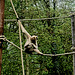 Tierpark Straubing