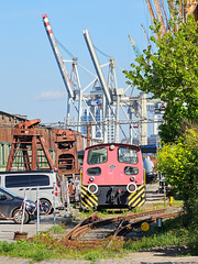 Hamburgtreffen 2024 - Auf dem Weg zur Peking am 29.04.2024