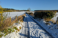 Moor Lane - towards Irton Moor (1 x Pip)