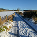 Moor Lane - towards Irton Moor (1 x Pip)