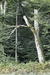 2025 365-252 2025 365-252