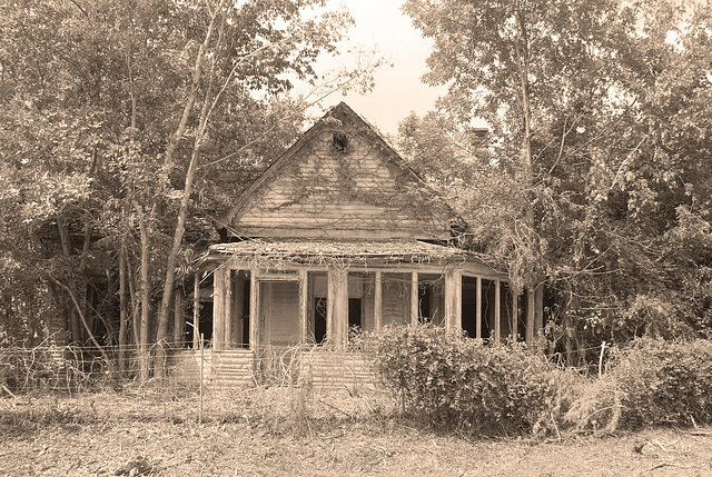 Abandoned House