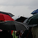 It Never Rains in Southern California ... aber in Tallinn schon ... (© Buelipix)