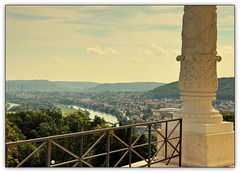 Fence with a view