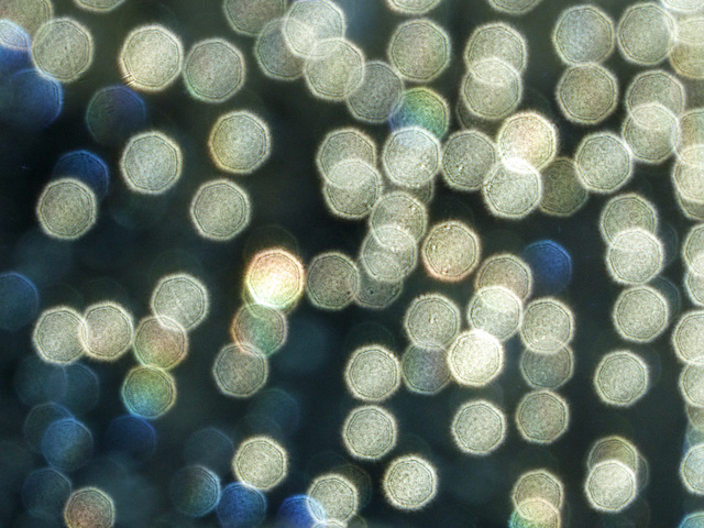 Waterdrops on my car windscreen