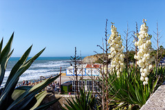 Ericeira, Portugal