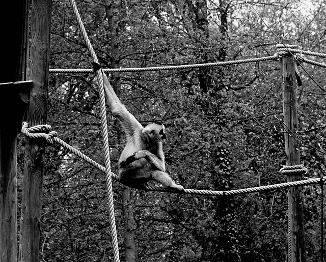 Tierpark Straubing