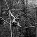 Tierpark Straubing