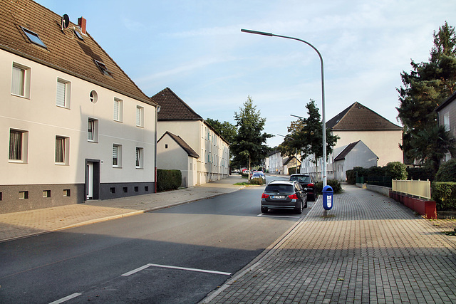 Theodorstraße (Gelsenkirchen-Bismarck) / 30.09.2023