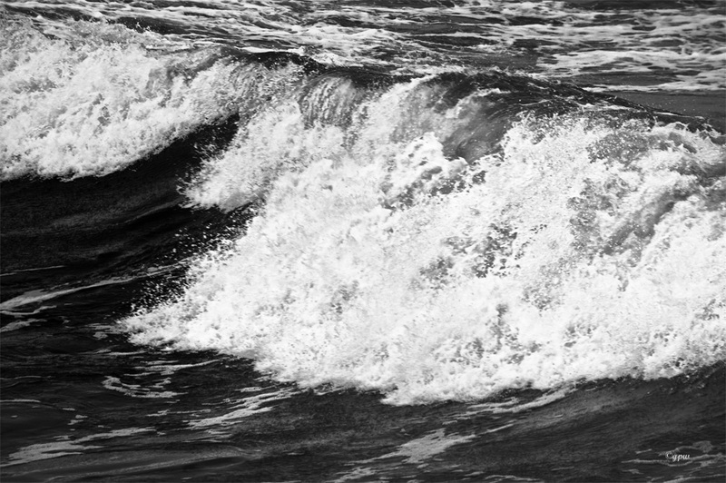 Stormy Wave