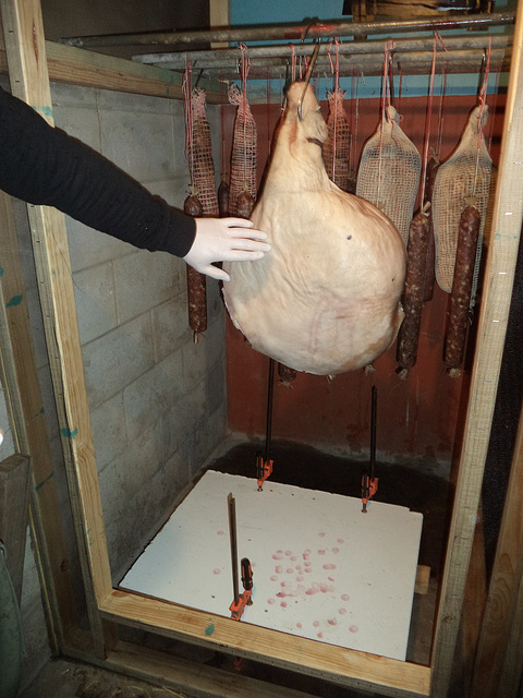 prosciutto - next stage