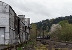 Portland Linnton rail (#0499)