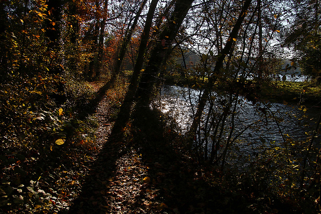 Ce petit chemin ne sentait pas la noisette , mais l'agréable parfum des feuilles en décomposition .