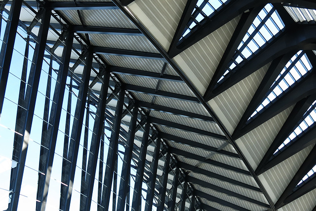 Gare Saint-Exupéry, Lyon (Rhône)