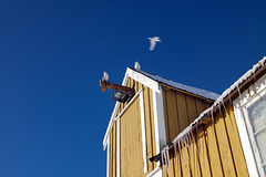 Lofoten, Nusfjord, Trio