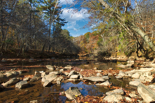 Eno River, November