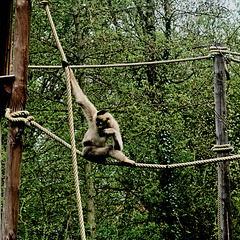 Tierpark Straubing