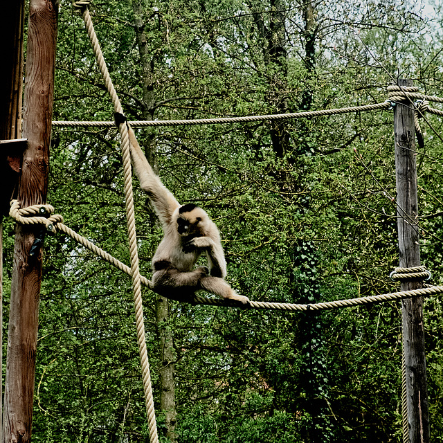 Tierpark Straubing
