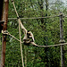 Tierpark Straubing