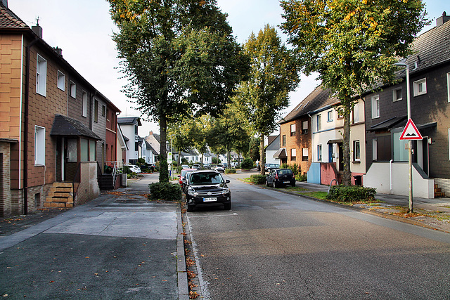 Sellmannsbachstraße (Gelsenkirchen-Bismarck) / 30.09.2023