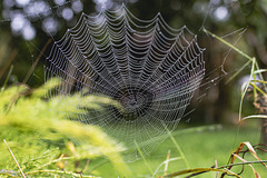 2025 365-253 2025 365-253