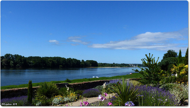 SAINTE GEMMES sur LOIRE