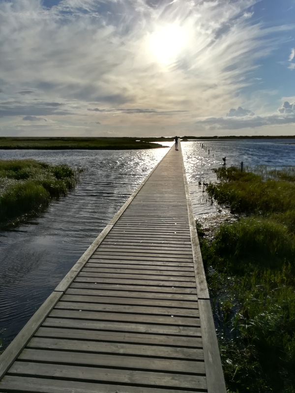 wooden path