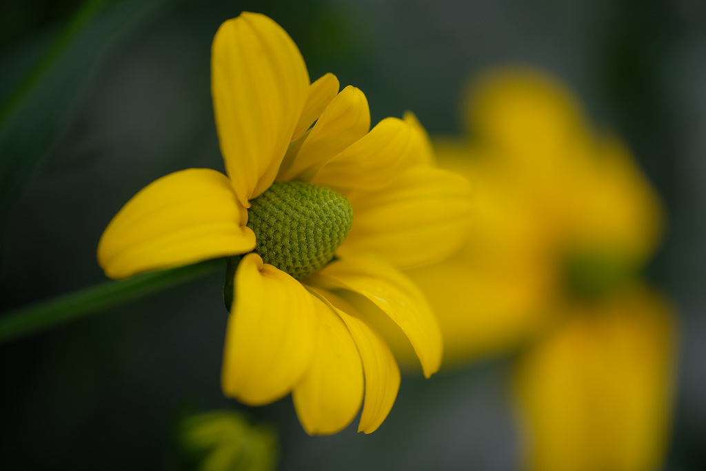DSCF1383