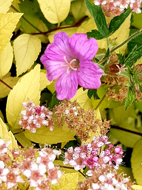 des trésors de la nature