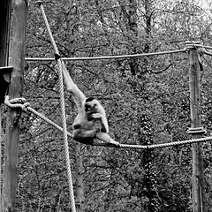 Tierpark Straubing