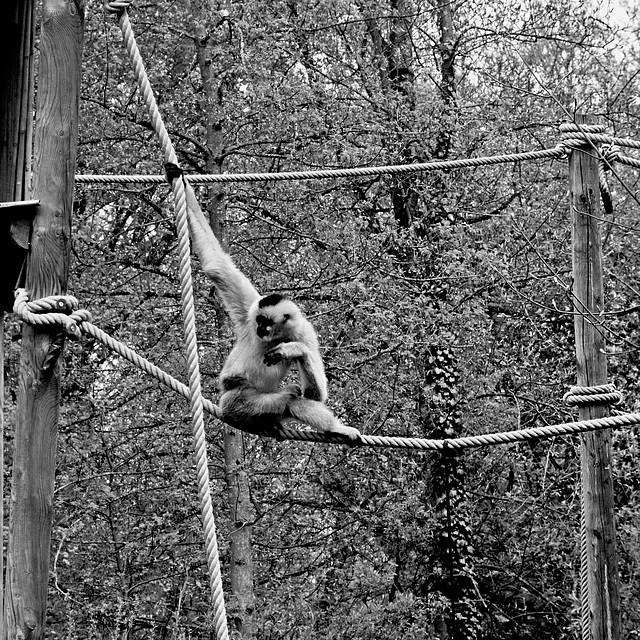 Tierpark Straubing