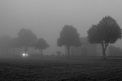 Morgendlicher Nebel Morgendlicher Nebel