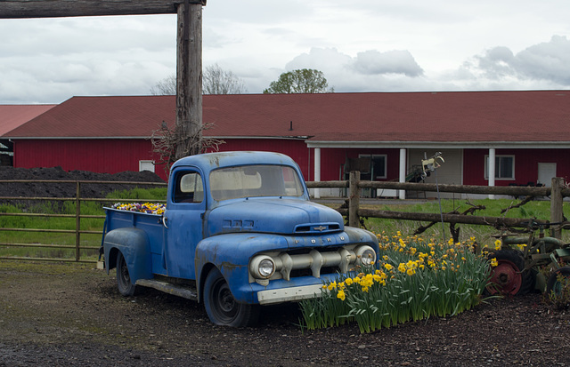 Sauvie Island (#0503)