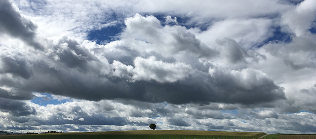 The One Tree Hill of Kemmental