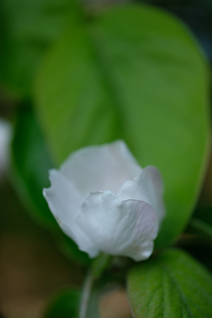 DSCF6236 DSCF6236