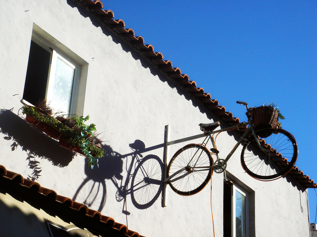 Fantastic rides on flying bikes!