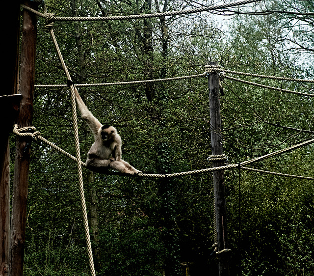 Tierpark Straubing