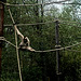 Tierpark Straubing