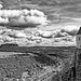 Blick ins Elbtal und zum Lilienstein