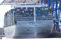 OOCL   VALENCIA