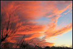 Ciel mon Mardi !