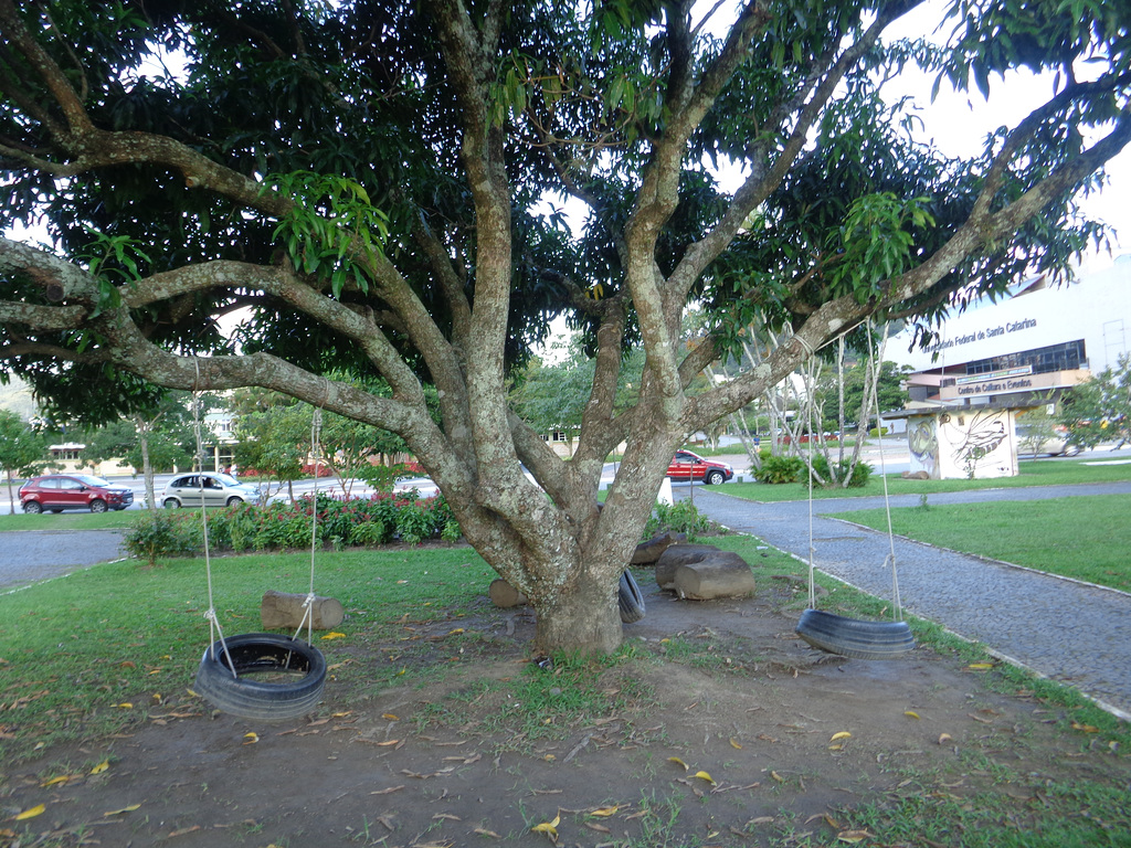 DSC06619 - balanços na Praça da Cidadania