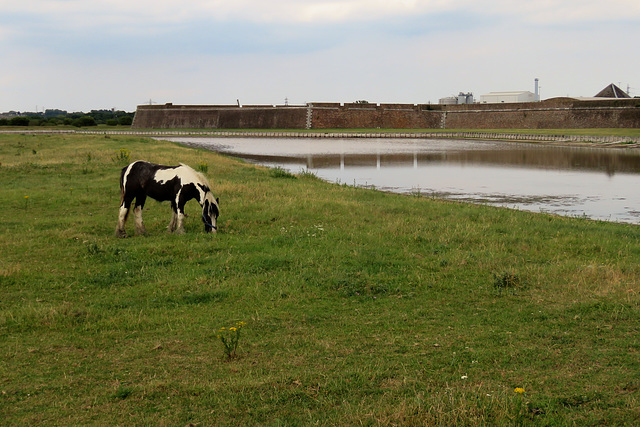 tilbury fort, essex (51)