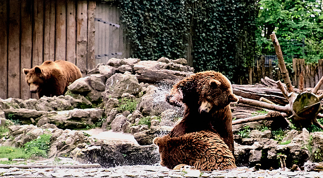Tierpark Straubing