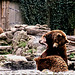 Tierpark Straubing